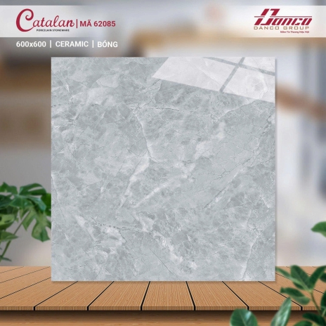 Gạch lát nền 62085