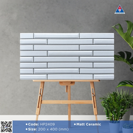 Matt Ceramic | 200x400mm | MÃ HP2409