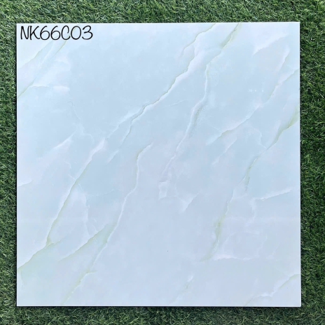 60x60cm - CERAMIC - GLOSSY | MÃ NK66C03