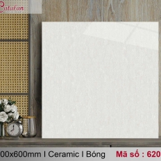 Gạch lát nền 62060