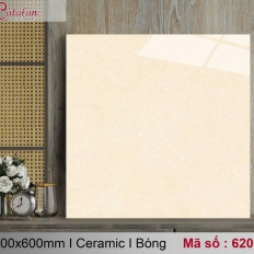 Gạch lát nền 62061