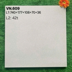 Gạch Lát Nền VN.609