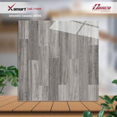 Gạch lát nền 71009