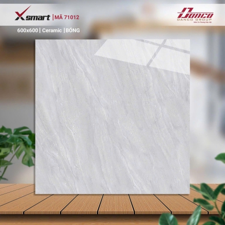 Gạch lát nền 71012