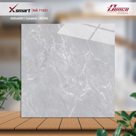 Gạch lát nền 71021