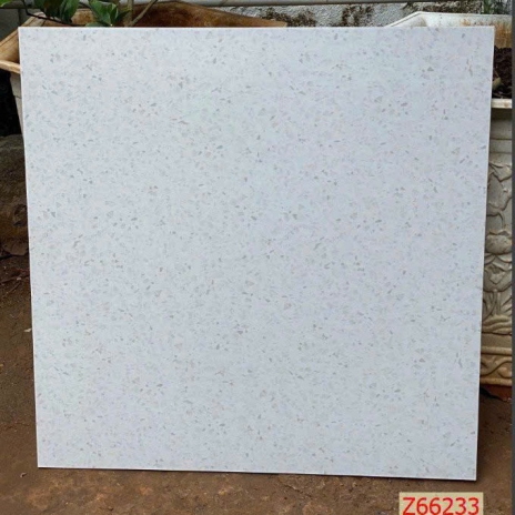 Gạch lát nền Terrazzo Trung Quốc 60x60 Z66233