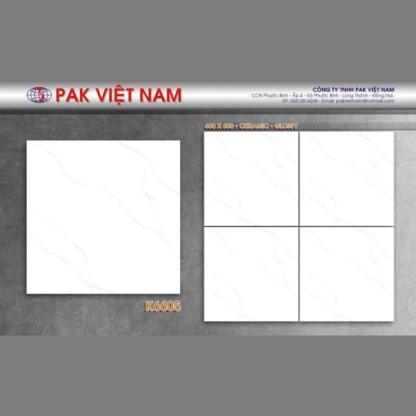 60x60cm - CERAMIC - GLOSSY | MÃ K6605