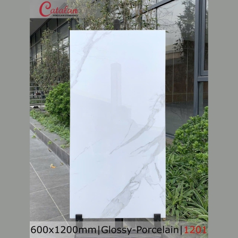 60x120cm | Glossy - Porcelain | MÃ 1201