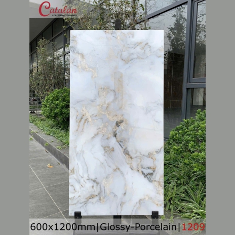 60x120cm | Glossy - Porcelain | MÃ 1209