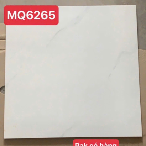 60x60cm - CERAMIC - GLOSSY | MÃ MQ6265
