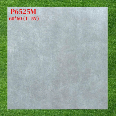Gạch men mờ 60×60cm P6525M