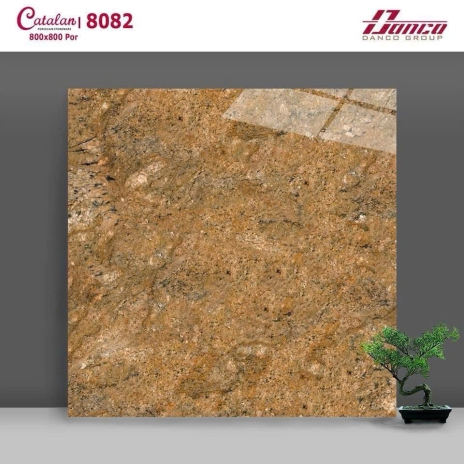 80x80cm | Por đá tông đậm dùng ốp mặt tiền | Mã 8082
