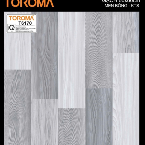 GẠCH 60x60cm | MEN BÓNG - KTS | MÃ T6170
