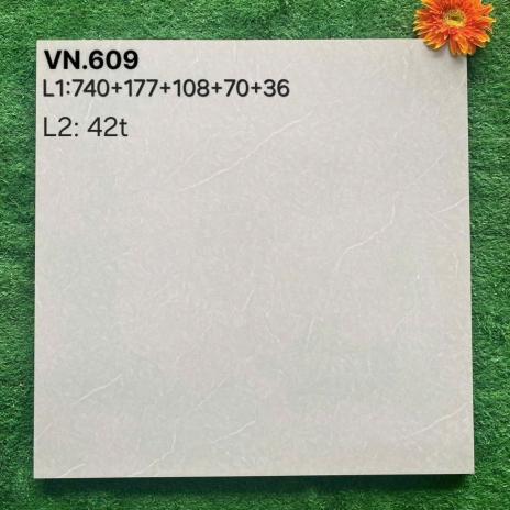 Gạch Lát Nền VN.609